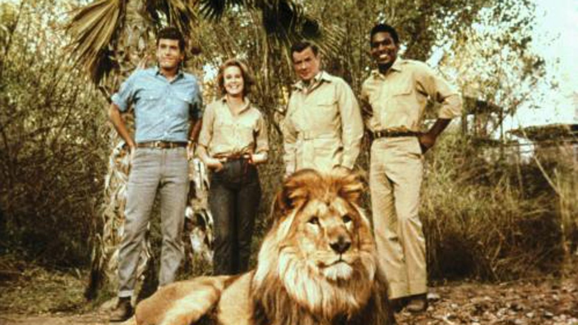 Season 4