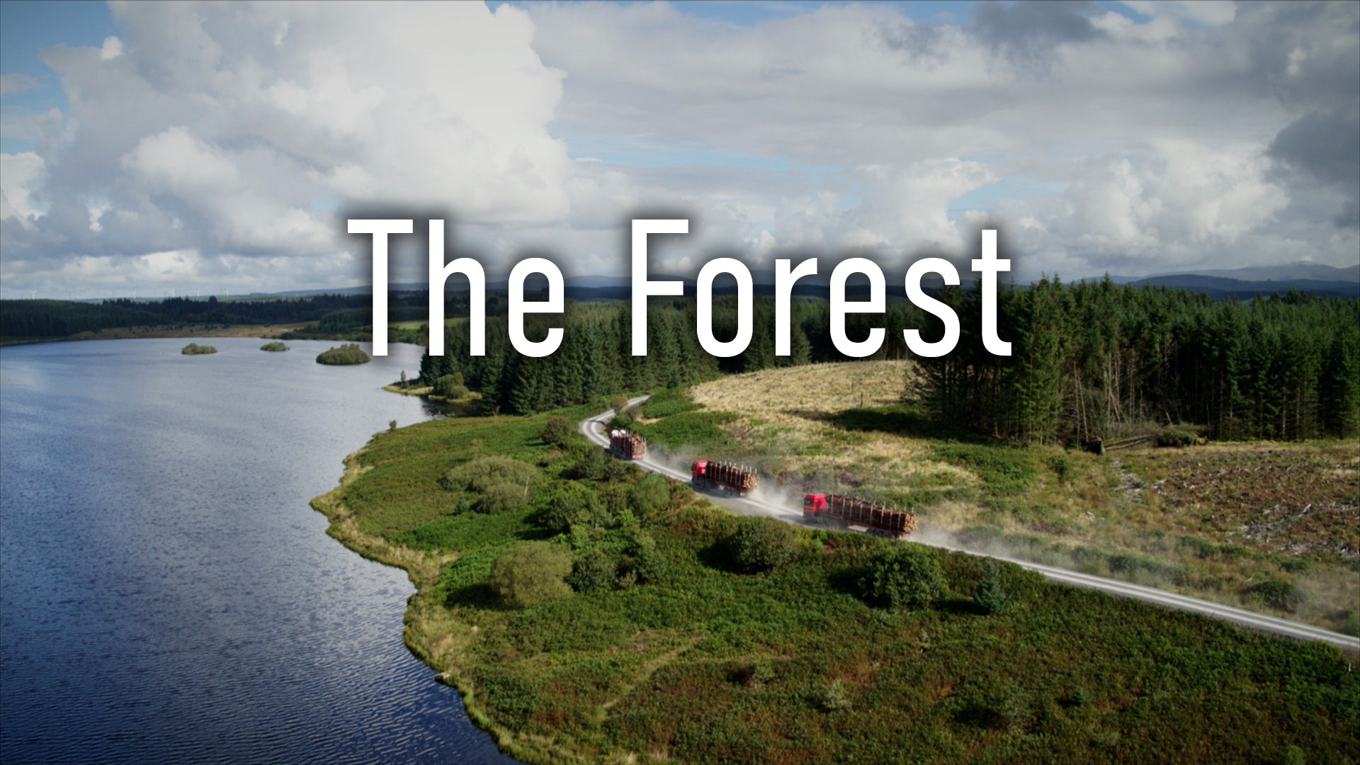 The Forest - Season 1
