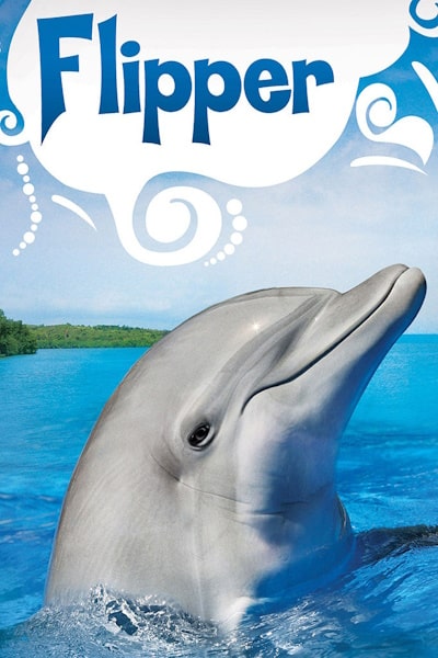 Flipper - Season 1