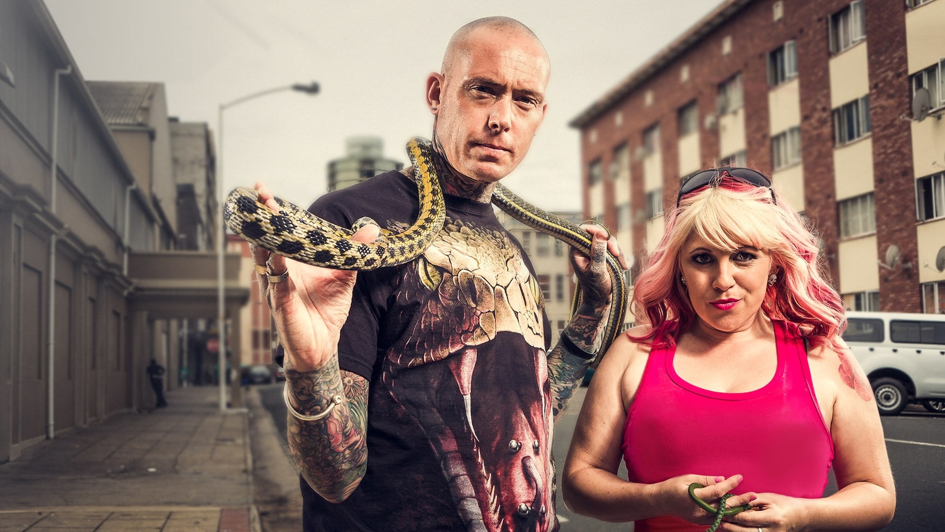 Season 7